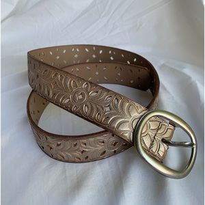 Fossil belt